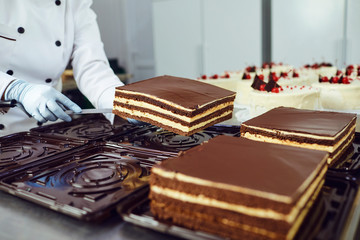 The hands of a pastry chef pack a cake in the bakery.