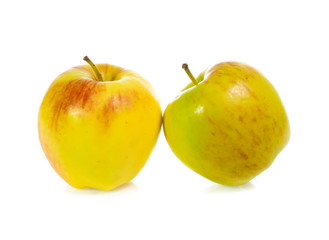 yellow apples isolated