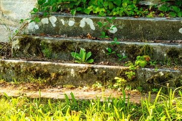 old, medieval stairs with green