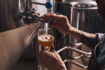 Bartender pours beer from the tap at the bar.