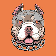 Основные RGBVector illustration with  pit bull head . Color portrait of a dog. Pit bull sketch. Image for printing on clothes