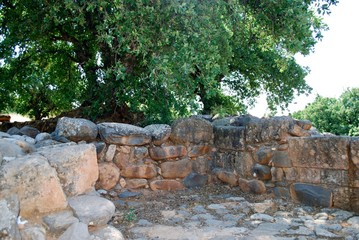 shaded ruins, Tel Dan