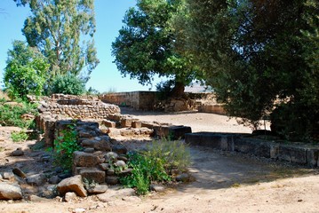 Tel Dan ruind and High Place