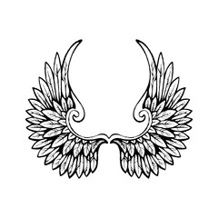 Hand drawn wings