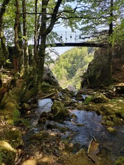 Randonnée et passage sur le pont de la cascade d'orgon dans le parc des cévènes