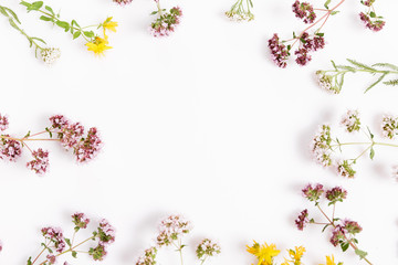 Various herbs and flowers on white background, top view, floral border