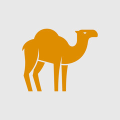 Camel logo. Icon design. Template elements