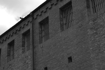 서대문형무소. 독림운동. 3.1운동. 고문. 광복절. 일제강점 . 후쿠시마.만행. 731부대.일본군.위안부.