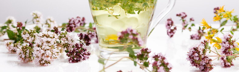 Herbal tea with origanum isolated on white background