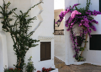 Narrow street with white houses and bougainvillea in bloom, Binibeca Vell,  Menorca, Spain