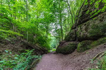 Drachenschlucht Thüringer Wald Eisenach Rennsteig