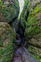 Obraz premium Drachenschlucht Thüringer Wald Eisenach Rennsteig