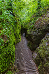 Obraz premium Drachenschlucht Thüringer Wald Eisenach Rennsteig
