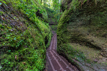 Drachenschlucht Thüringer Wald Eisenach Rennsteig