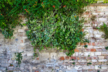 Historic medieval wall from ottoman empire in Istanbul, Turkey