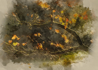Digital watercolor painting of Beautiful golden Autumn leaves with bright backlighting from sunrise