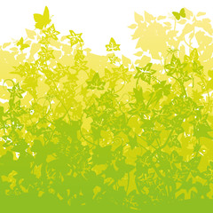 Gras mit dichtem Efeu im überwucherten Garten