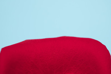 Red petal macro on blue background