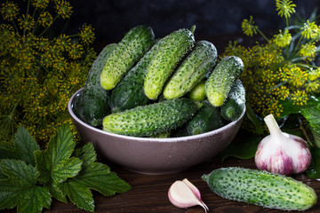 Image with cucumbers.
