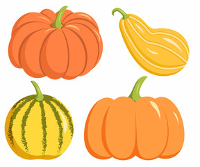 Set of pumpkins of different colors and sizes. Autumn harvest. Vector illustration
