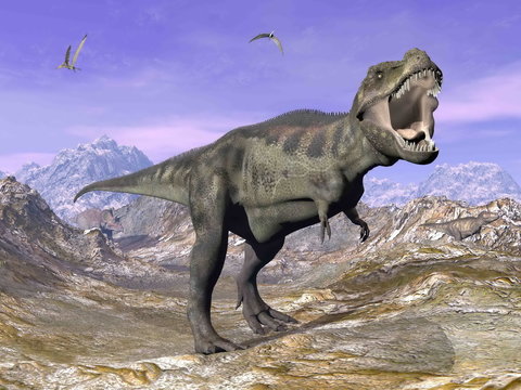 Tyrannosaurus T-Rex roaring in nature - 3D render