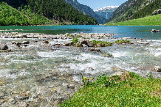 Fast water stream flow into mountain lake. Landscape with stones in brook surrounded by rich vegetation. Summer mountain landscape in the Alps, Austria, Tyrol.