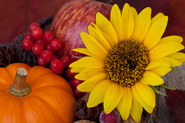 Autumn Flower Still Life With Pumpkin