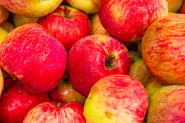 Many different ripe red apples background, farm garden harvest