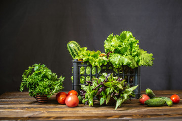 Box with fresh vegetables and green salad on a dark background. Organic raw products grown on the farm.