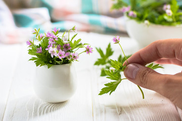 Miniature Purple flowers in a white vase on a white table 