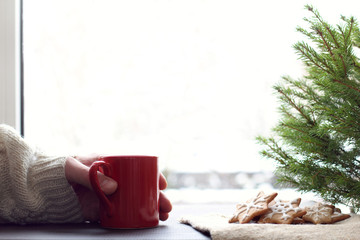 hand in a sweater holds a red mug next to a Christmas tree and cookies on the background of the window. Christmas warming drink