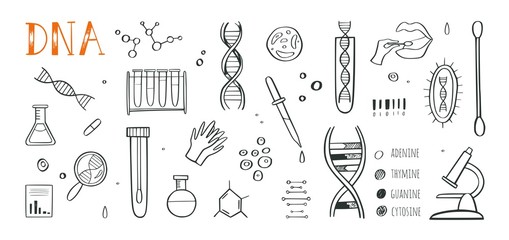 Genetic engineering and medical research vector background. DNA helix, genome testing elements. Chemical laboratory concept