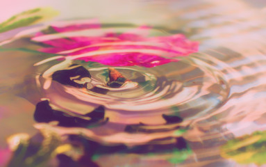 Gota de agua rebotando en el agua junto a las hojas y flores