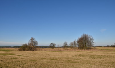 Fototapeta premium Brandenburgische Landschaft bei Blankensee (Trebbin)