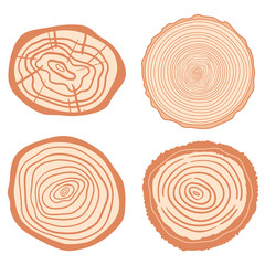 Colorful tree rings on isolated white. Set of objects on isolation background. Line art. Print for your design