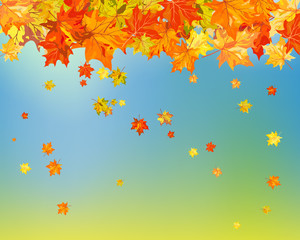 Naklejka na ściany i meble Fall (Autumn) Background