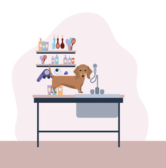 cute dashhund dog pet character