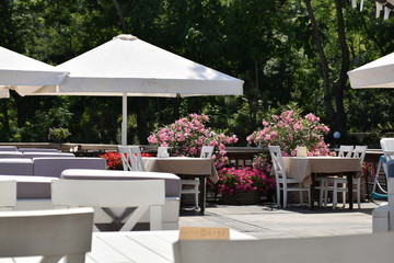 table and chairs in a garden