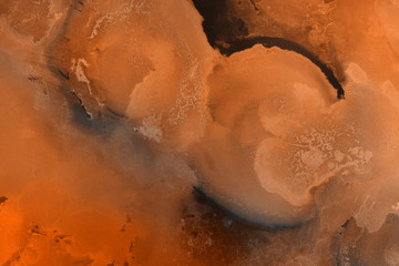 Hand painted alcohol ink background. Abstract delicate orange texture. Contemporary autumn wallpaper. 