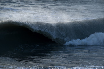 surf onda mare sea