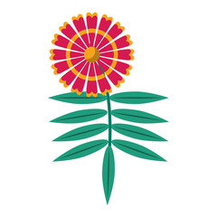 flower nature floral decoration cartoon