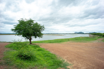 Landscape of natural lake and clouded sky with outstanding tree in foreground and mountain in background.