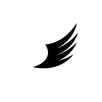 Wing logo symbol vecto
