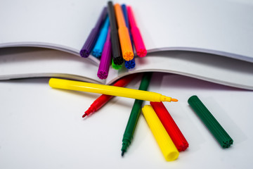 color pencils and sharpener