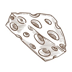 Food or dairy product, Cheese with holes isolated sketch snack
