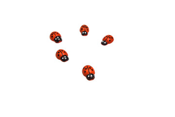Fototapeta premium Toy ladybug red on a white background