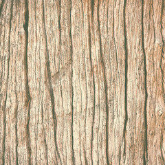 old wood texture.