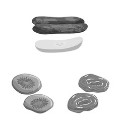 Vector design of vitamin and nature symbol. Set of vitamin and dried stock vector illustration.