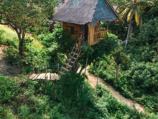 Treehouse in the jungle