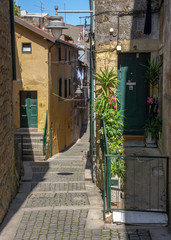 Fototapeta na wymiar Narrow Alley With Plants and Shadows, Braga, Portugal